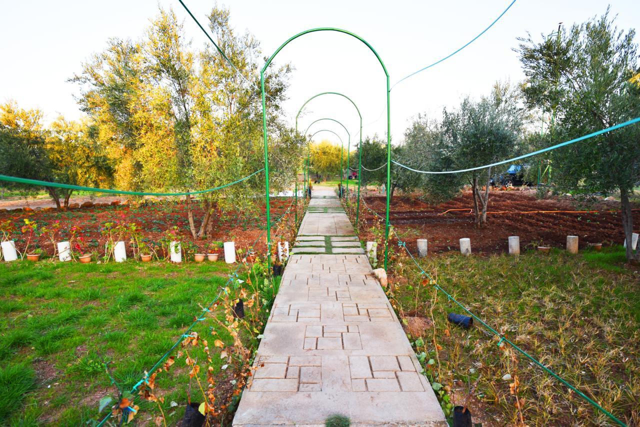 Maison D'Hotes La Ferme Aziza เฟส ภายนอก รูปภาพ